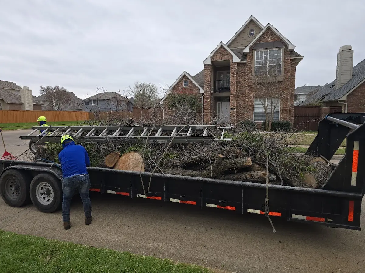 Expert Lot Clearing with proper safety equipment in Malone